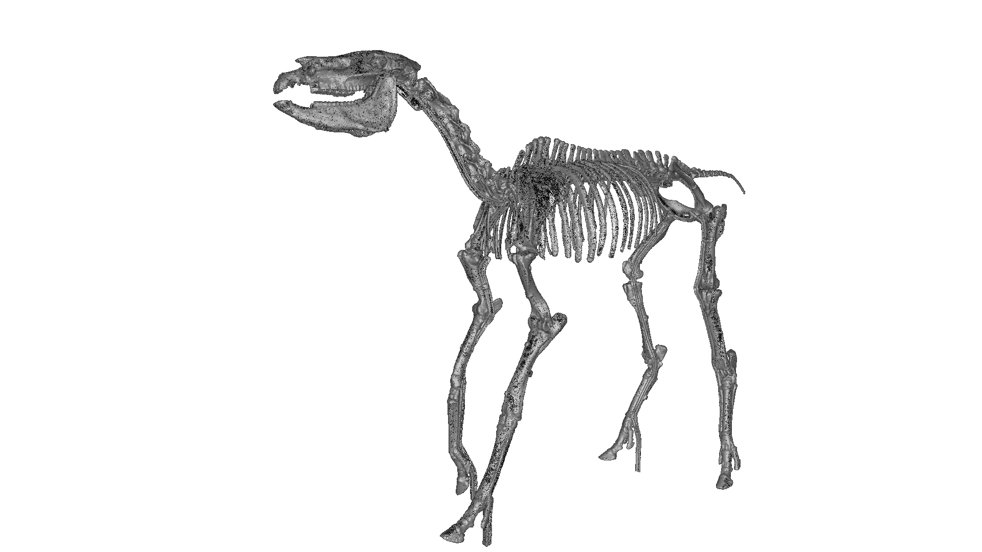 三维扫描古生物化石