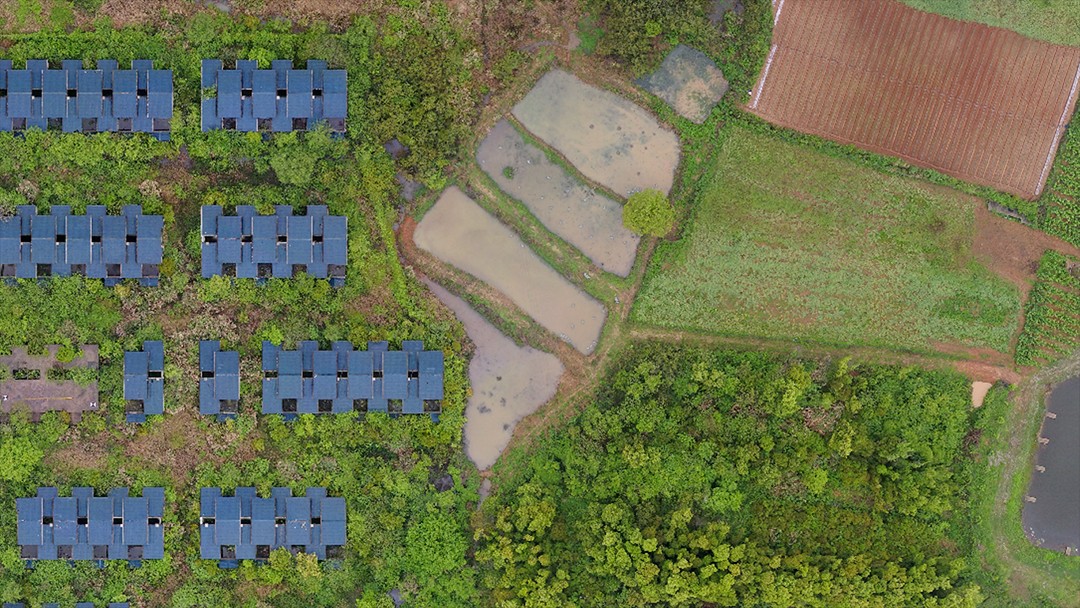 1785218507809015.jpg